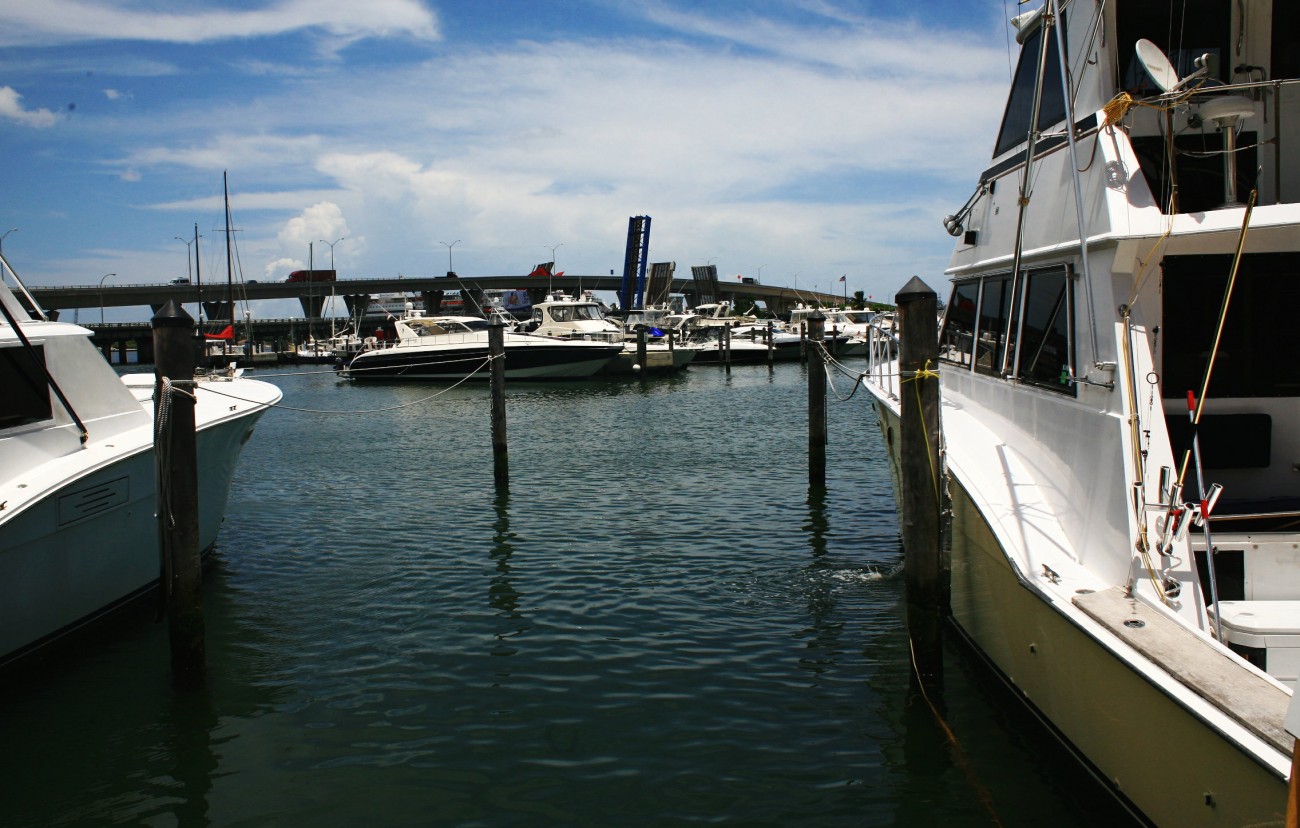 IMG_8837.jpg