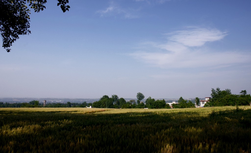 DSC_4013.jpg