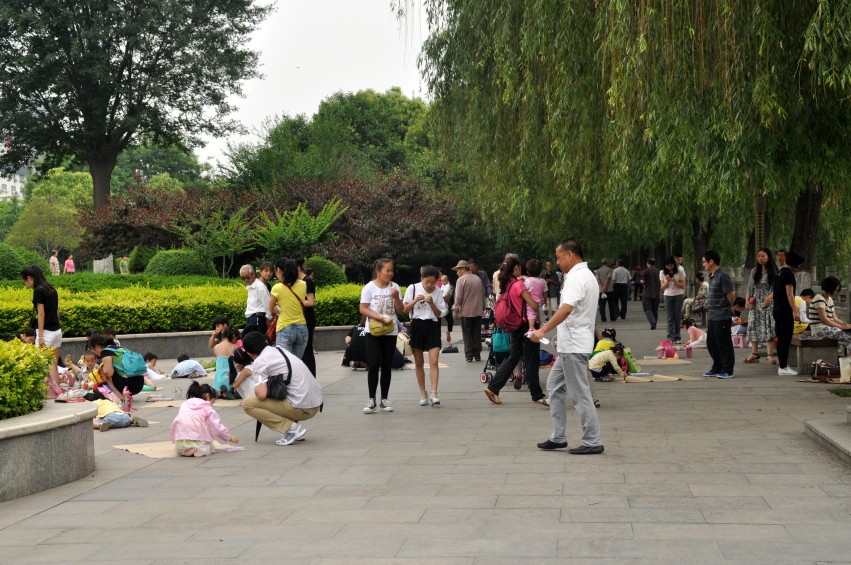 DSC_0025_conew1.jpg