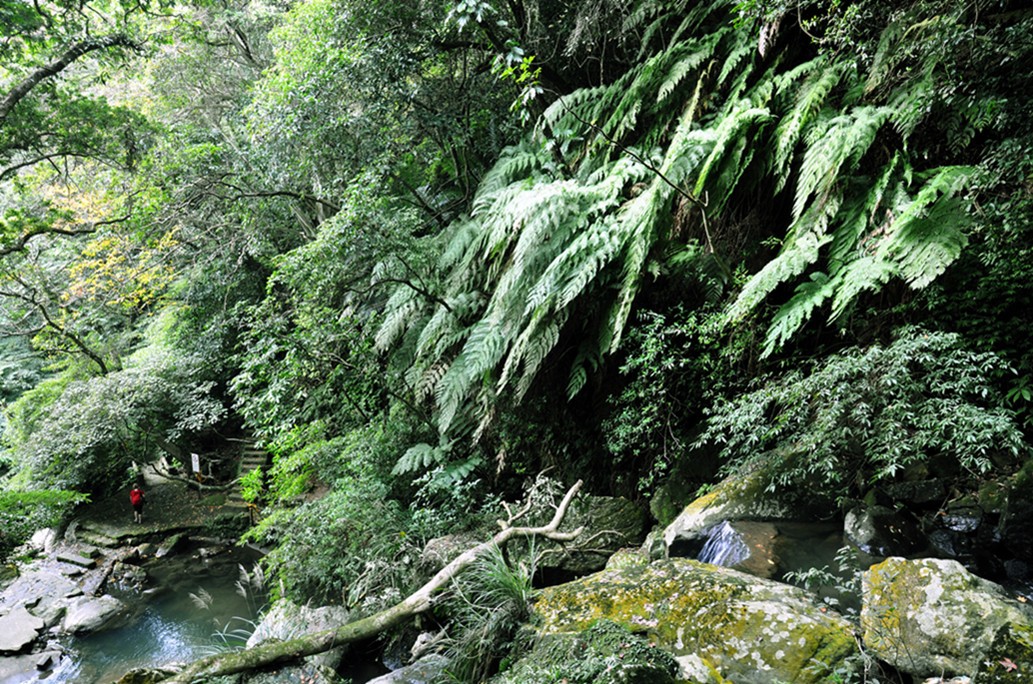 DSC_0587_副本_副本.jpg