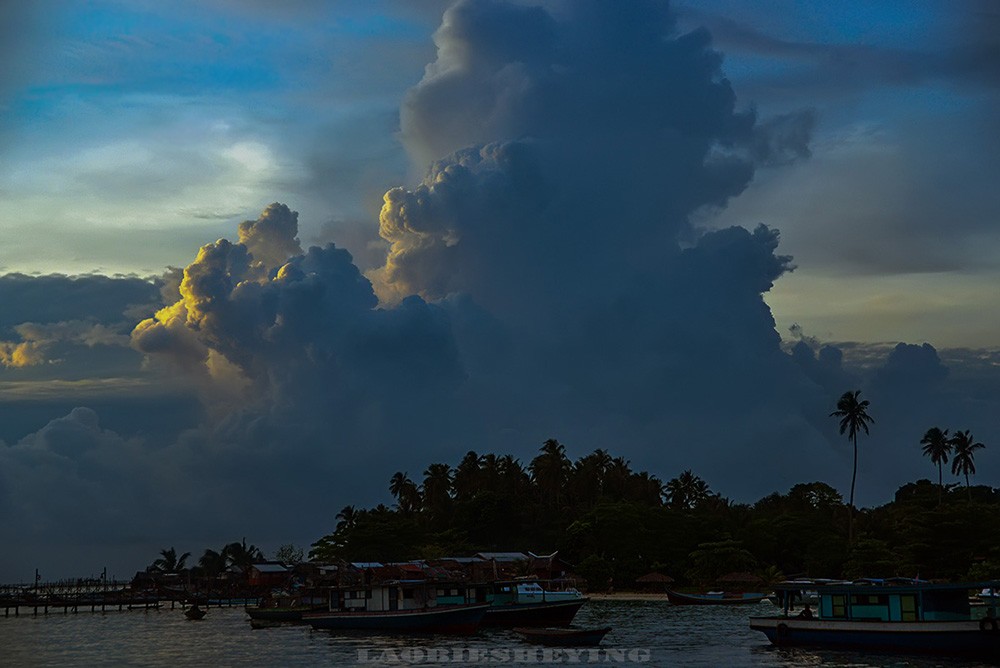 DSC_2483.jpg