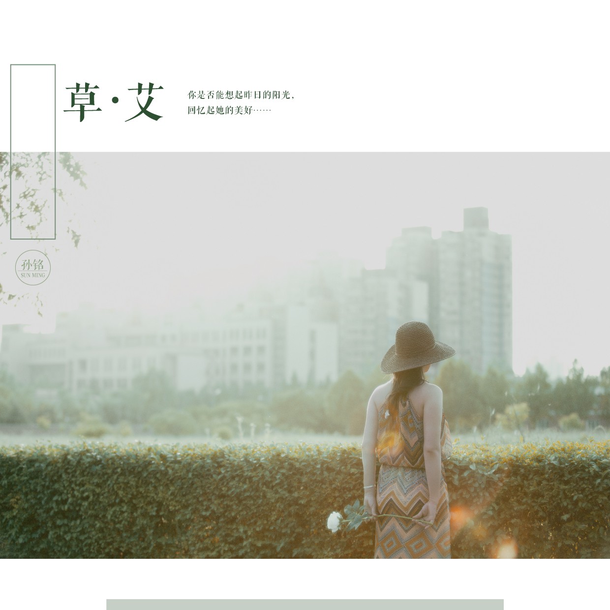 草艾_10.jpg