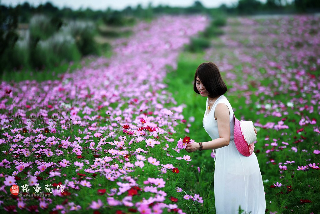 IMG_8193_副本.jpg