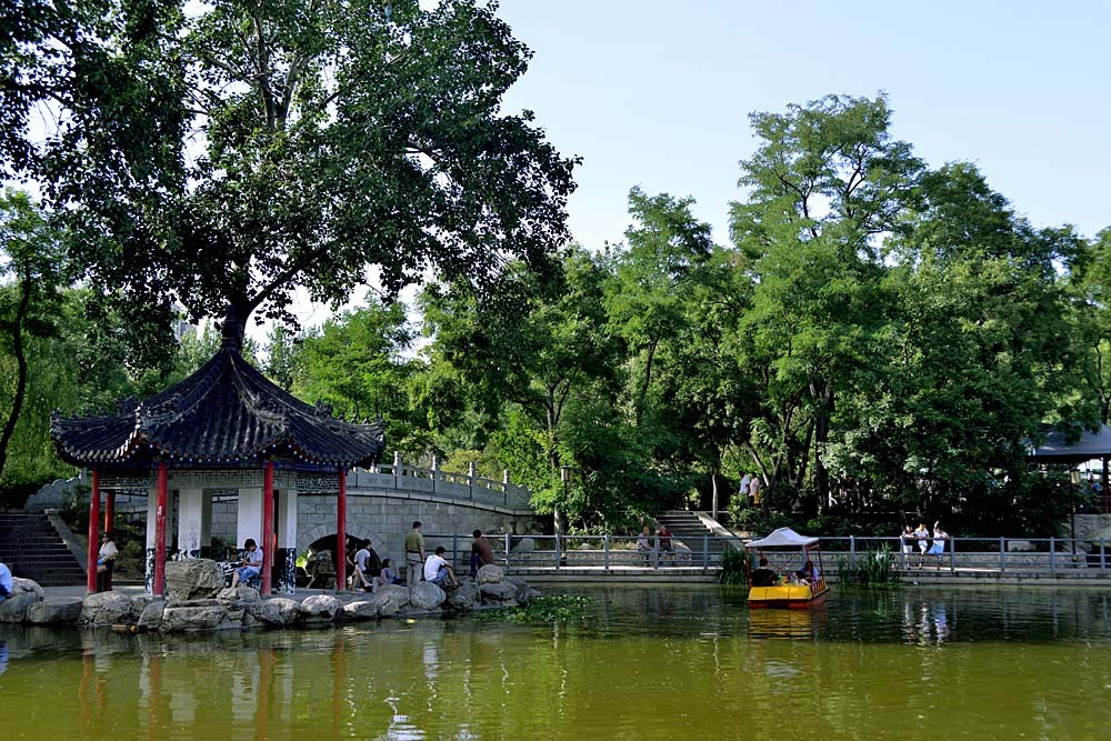 莲湖公园 (15).jpg