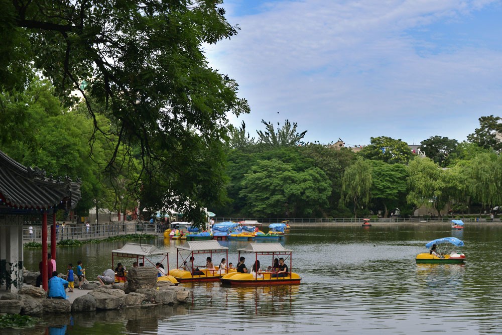 莲湖公园 (2).jpg