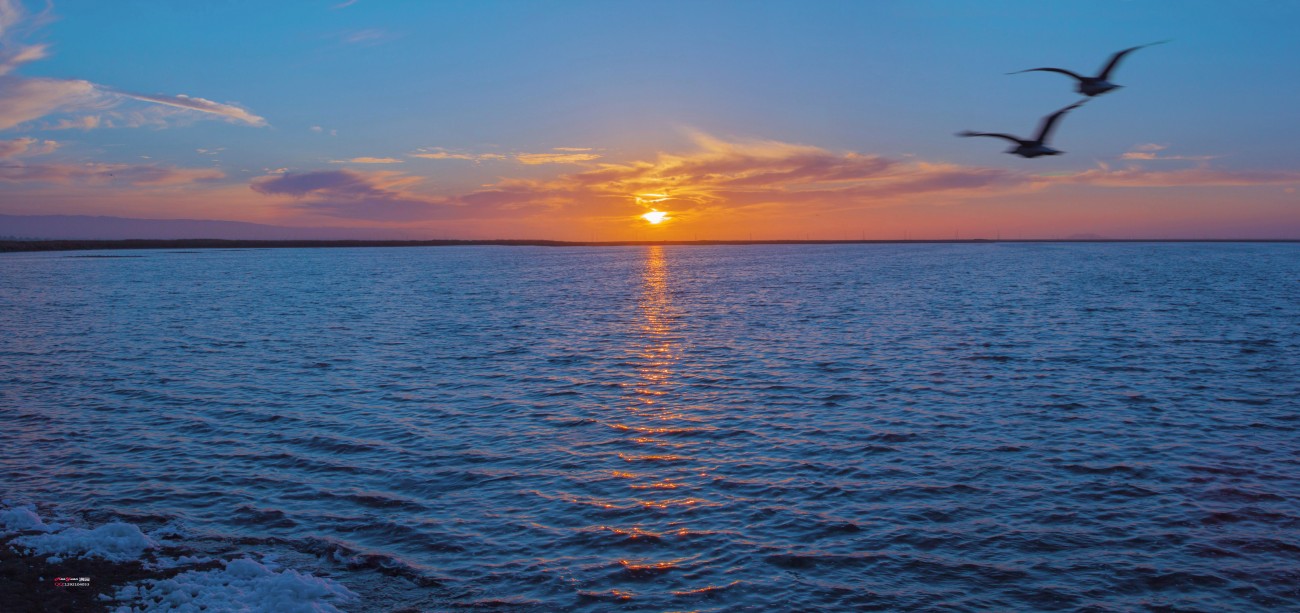 海岸全景图1.jpg