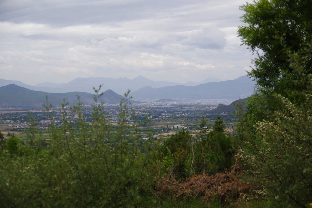 LXC32572.JPG