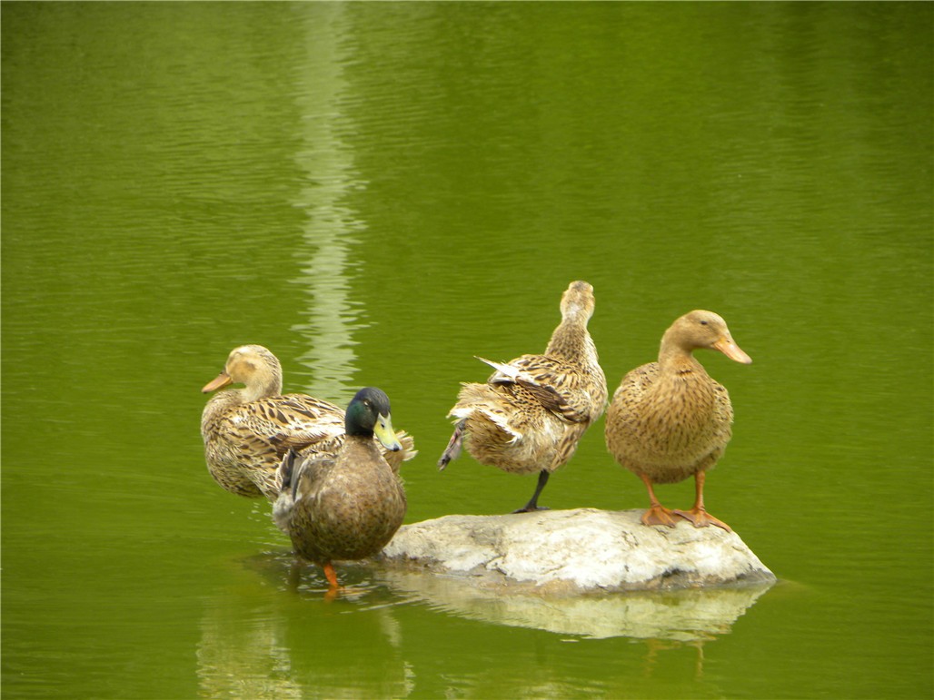 DSCN8936.JPG