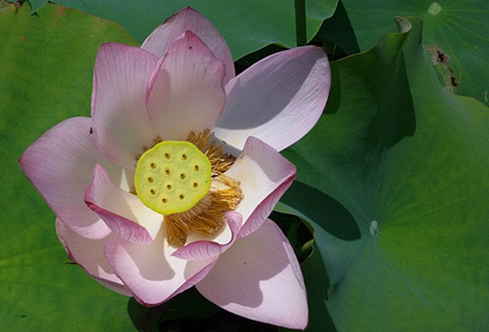 20150701_110825_副本_副本.jpg