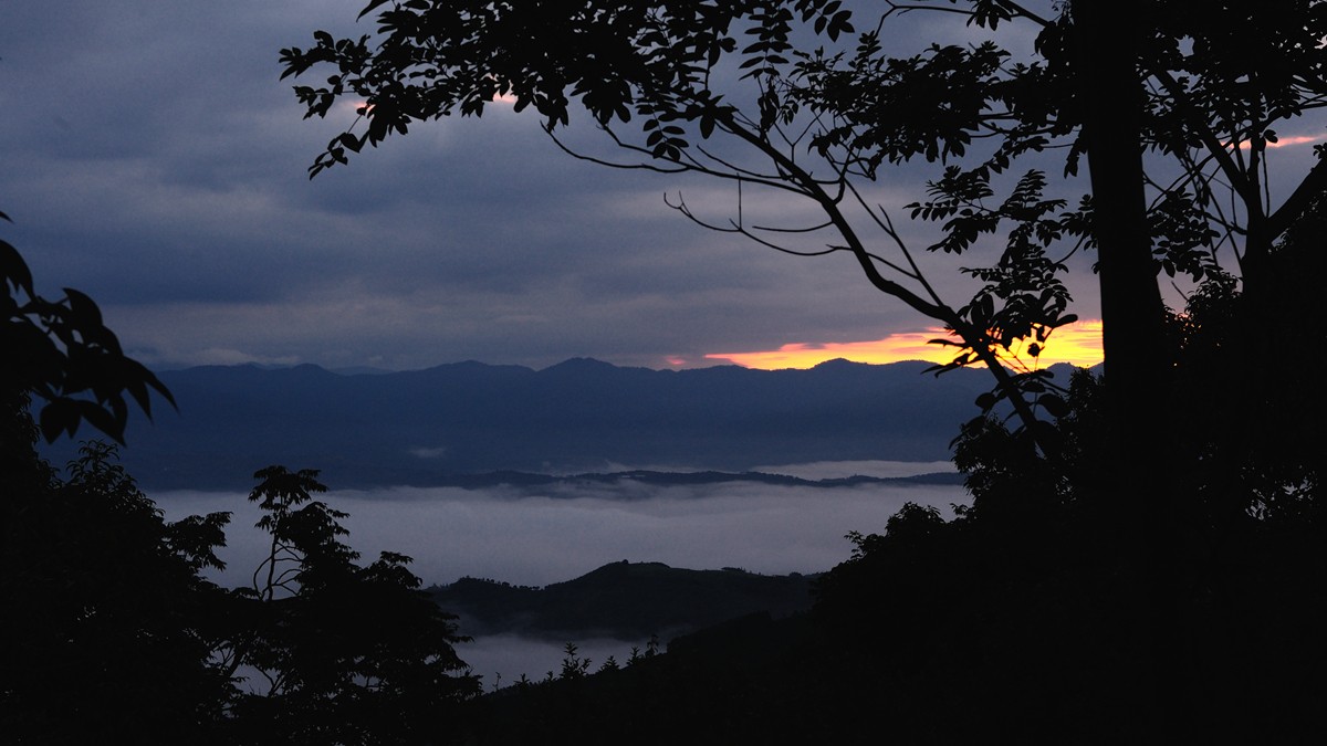 DSC_7304_副本.jpg