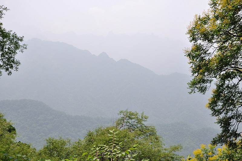 DSC_0084_副本.jpg