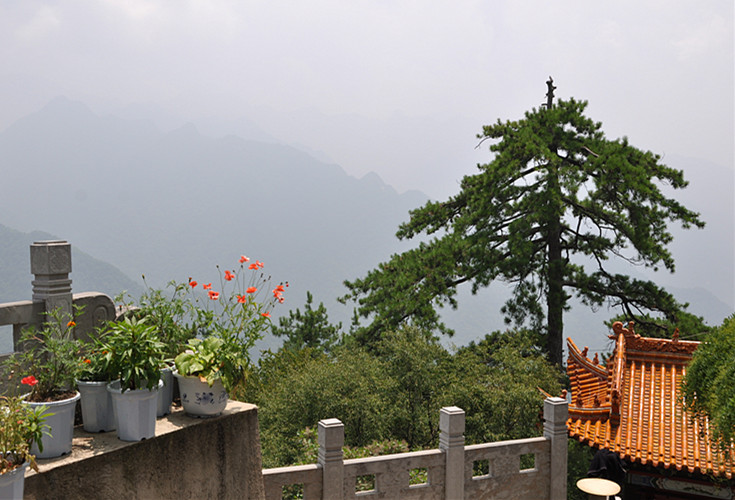 DSC_0092_副本.jpg