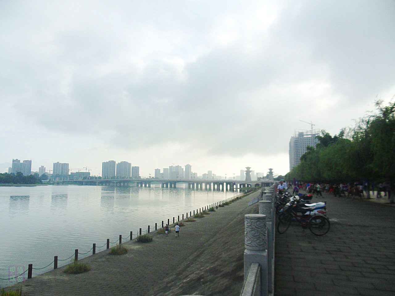 SDC10660.JPG