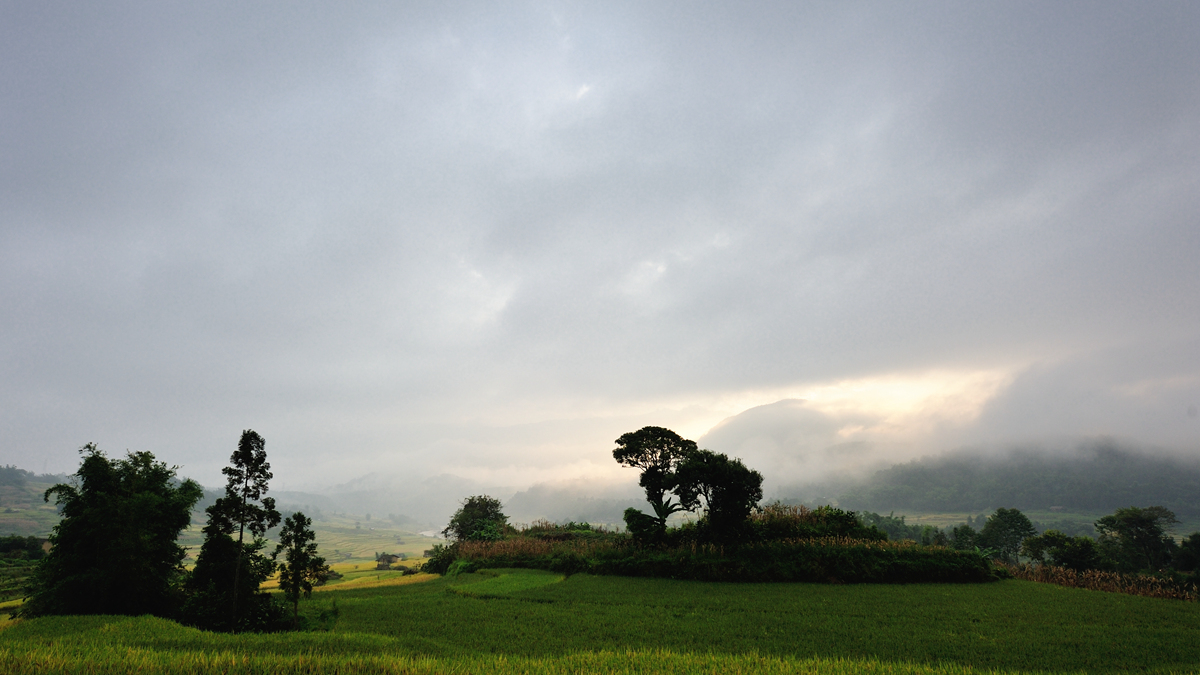 DSC_0612_副本.jpg