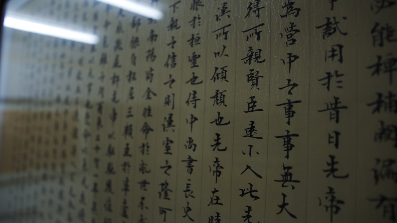 IMGP2772.jpg