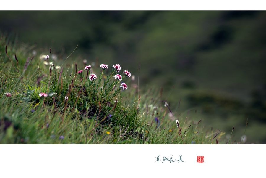 _DSC6081副本1_副本_副本.jpg