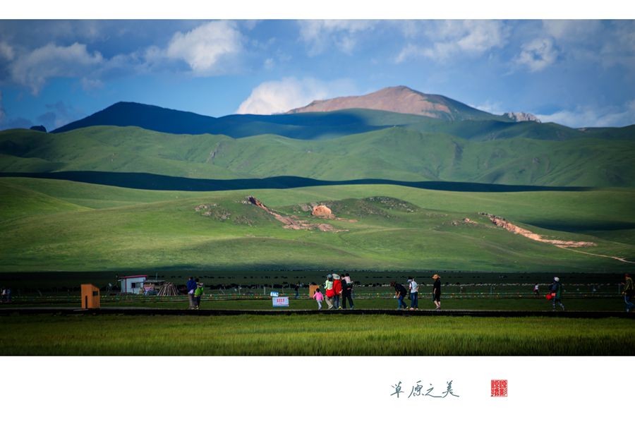 _DSC6200副本1_副本_副本.jpg