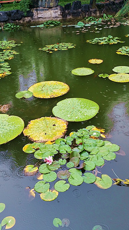 20150818_162742_副本.jpg