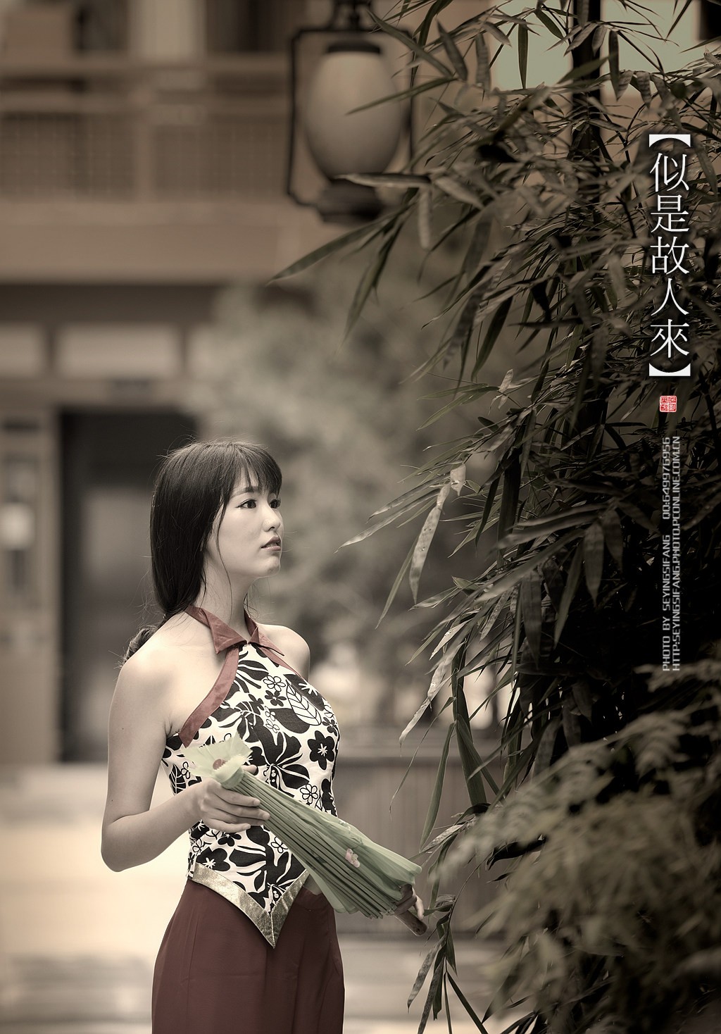 _DSC2602_副本.jpg