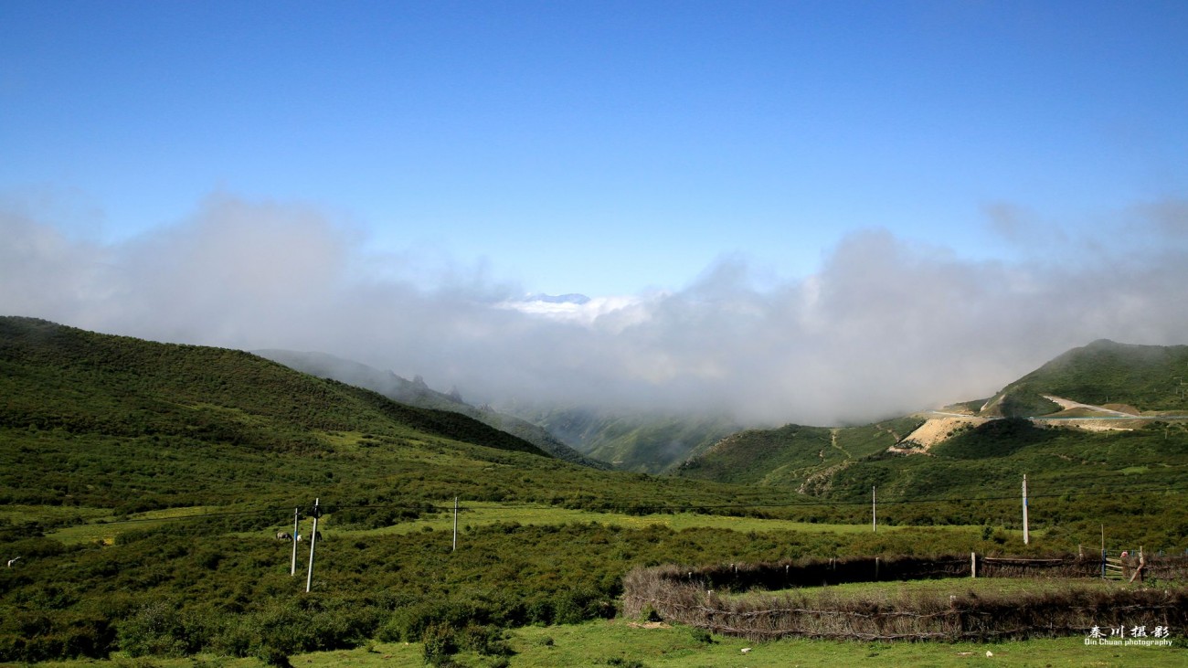 5D3A4488_副本.jpg