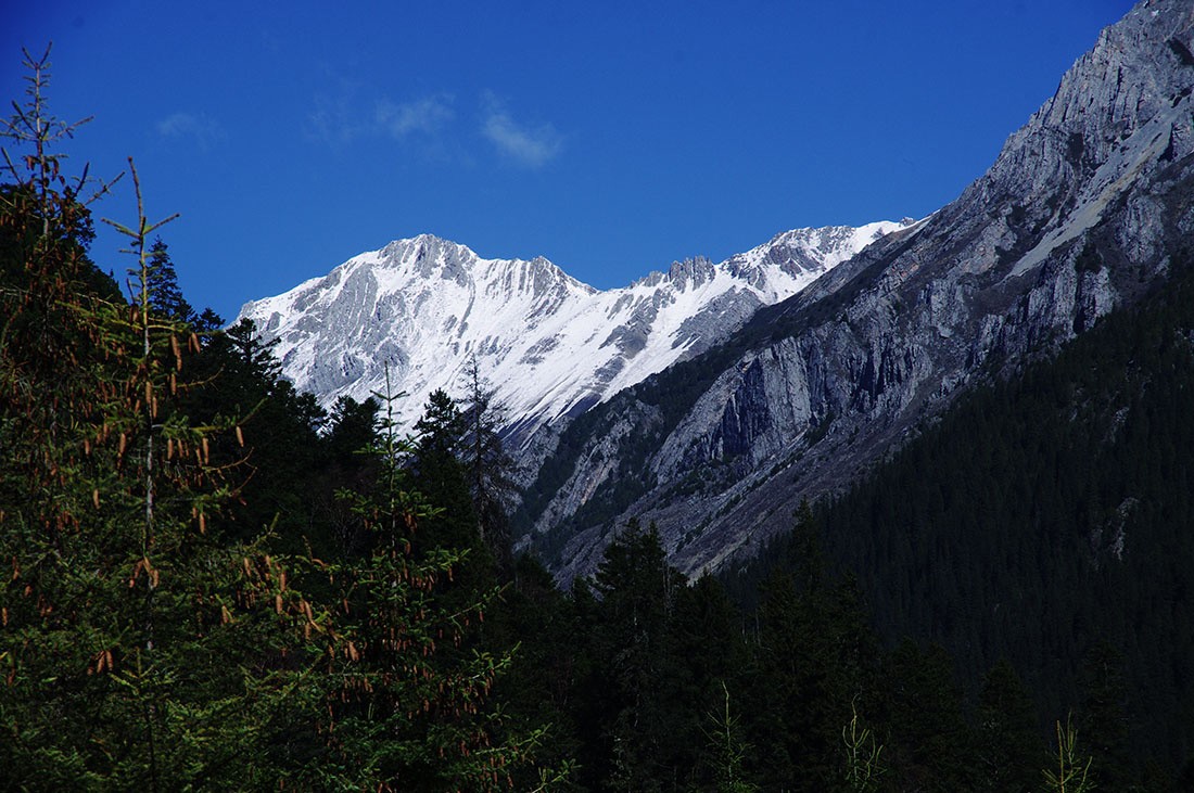 IMGP1358-3.jpg