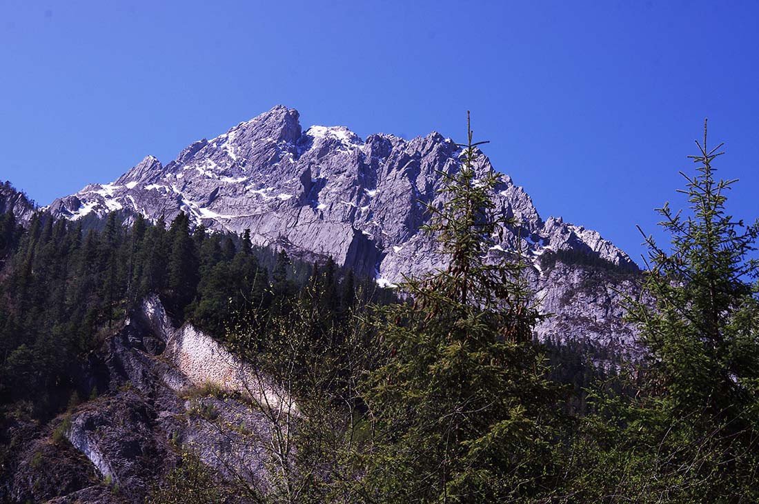 IMGP1367-3.jpg