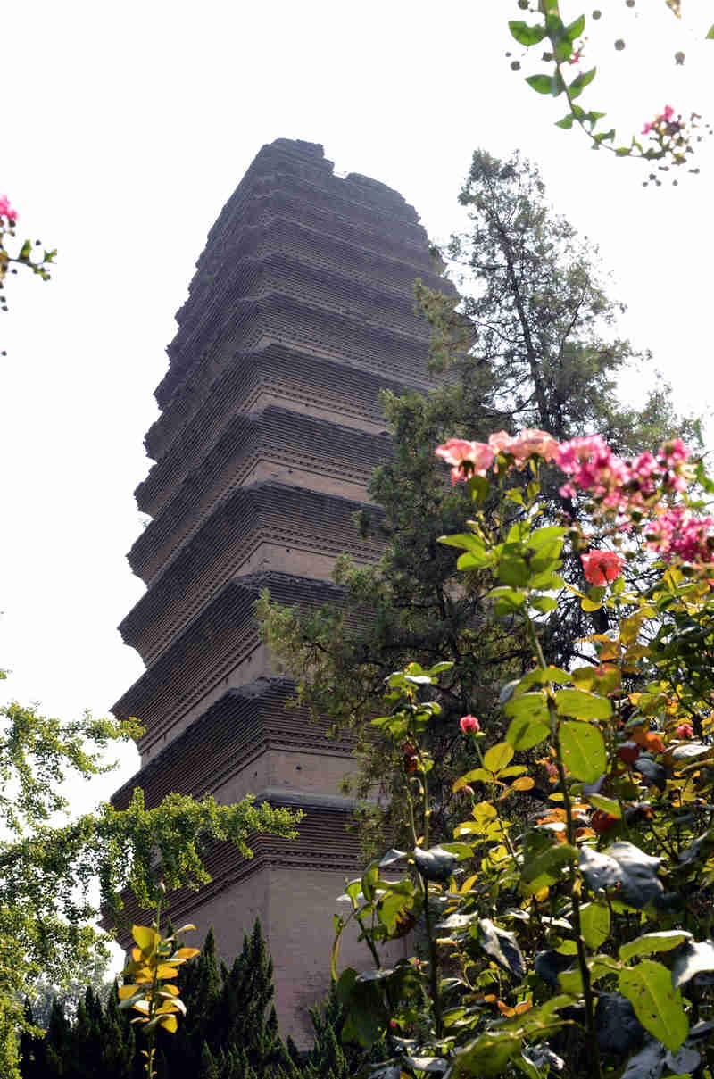 DSC_0514_副本_副本.jpg