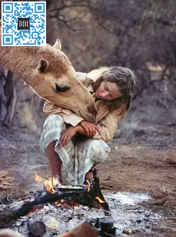 1441068748715545_jpg!img_avatar.jpg