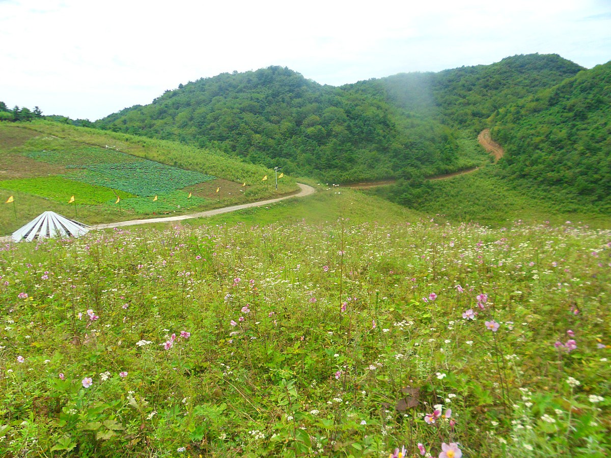 SDC13912_副本.JPG