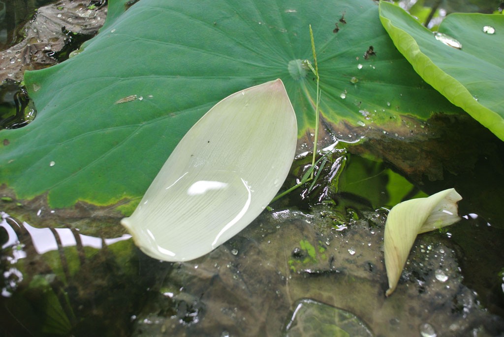 DSC_5813副本.jpg