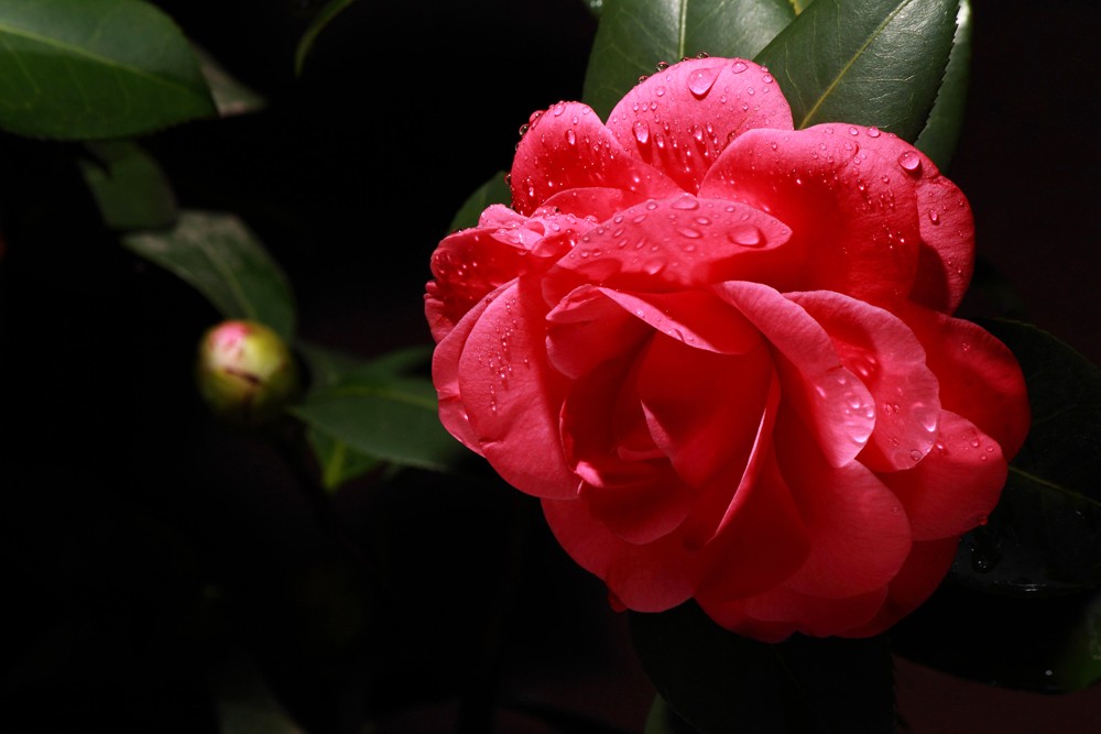 DSC_6187副本.jpg