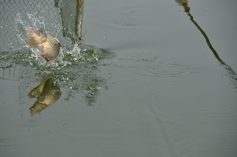 DSC_0856_副本.jpg