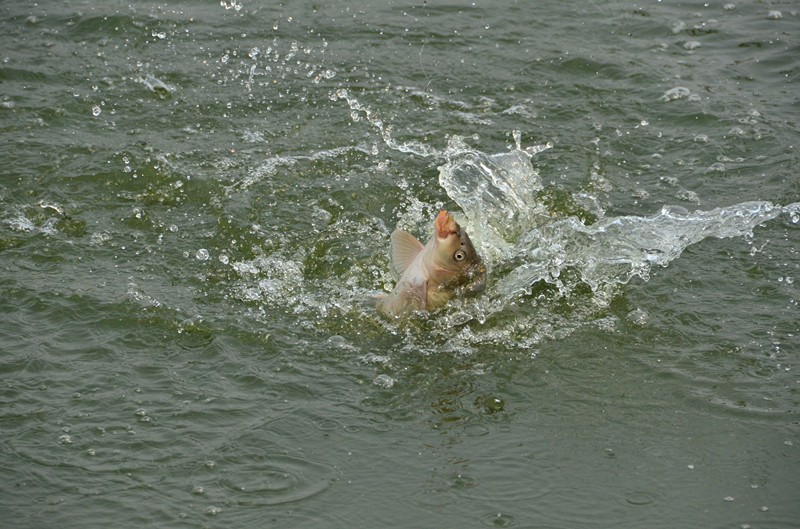DSC_0899_副本.jpg