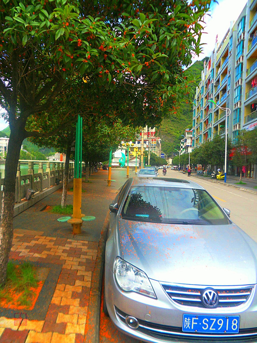 SDC15552_副本.JPG