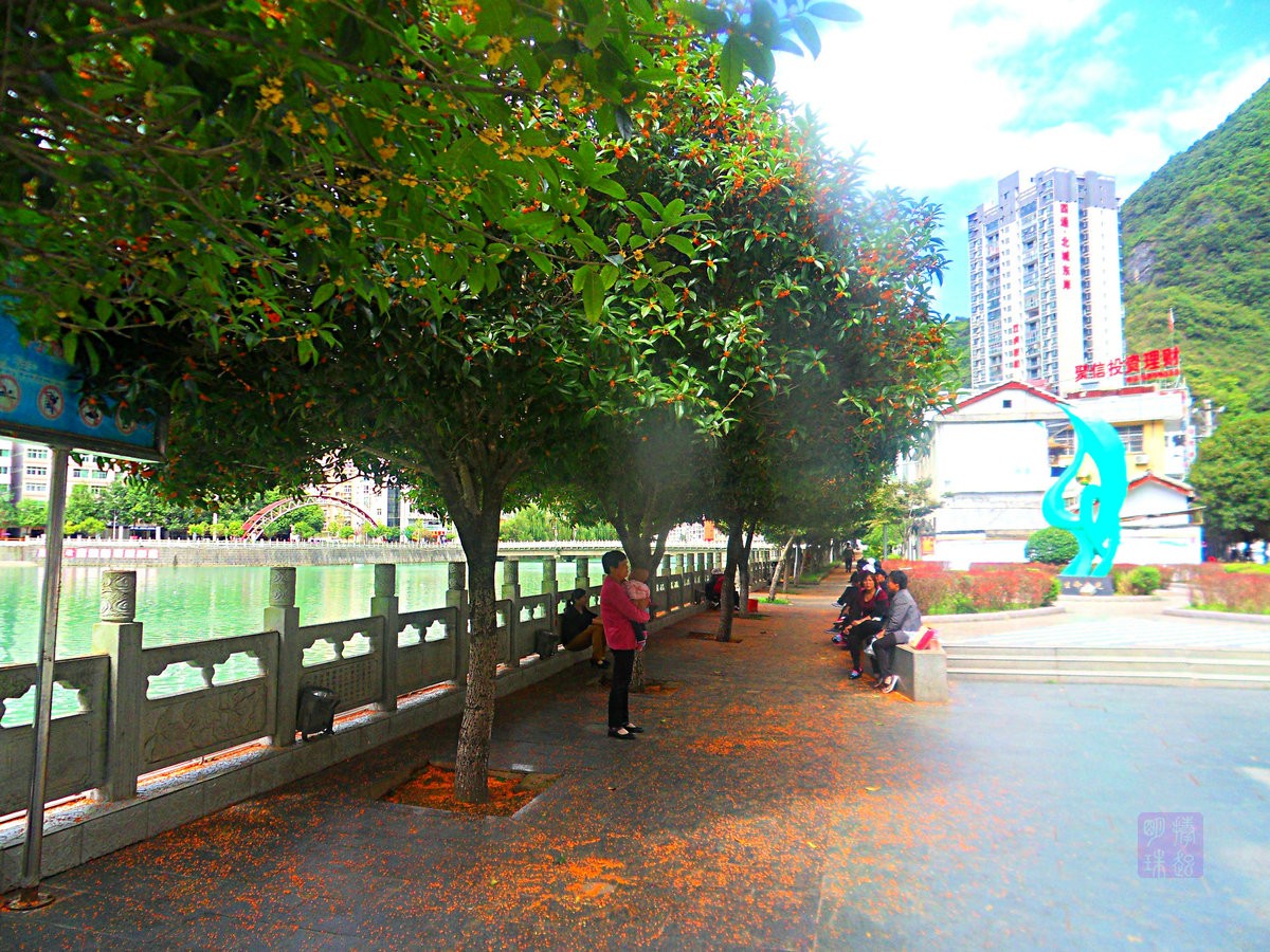 SDC15568_副本.JPG