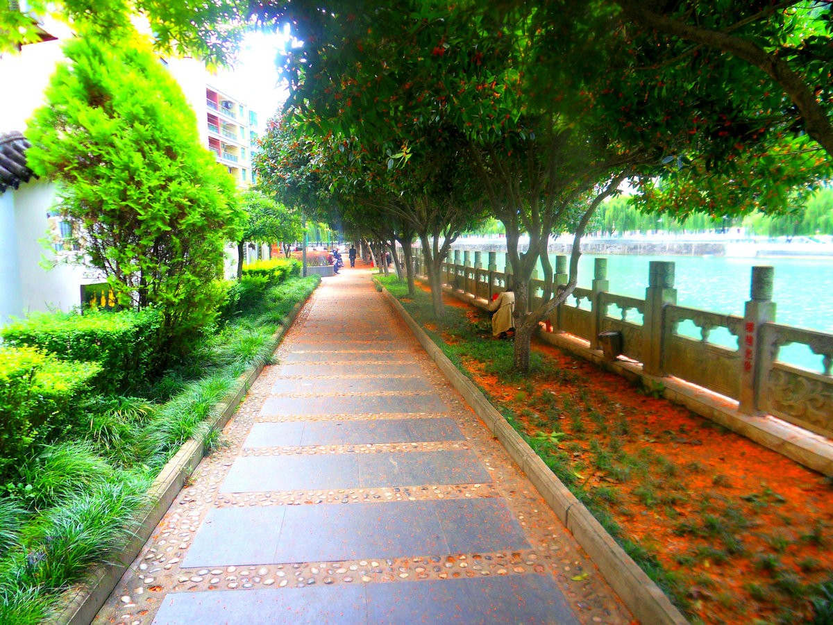 SDC15520_副本_副本.JPG