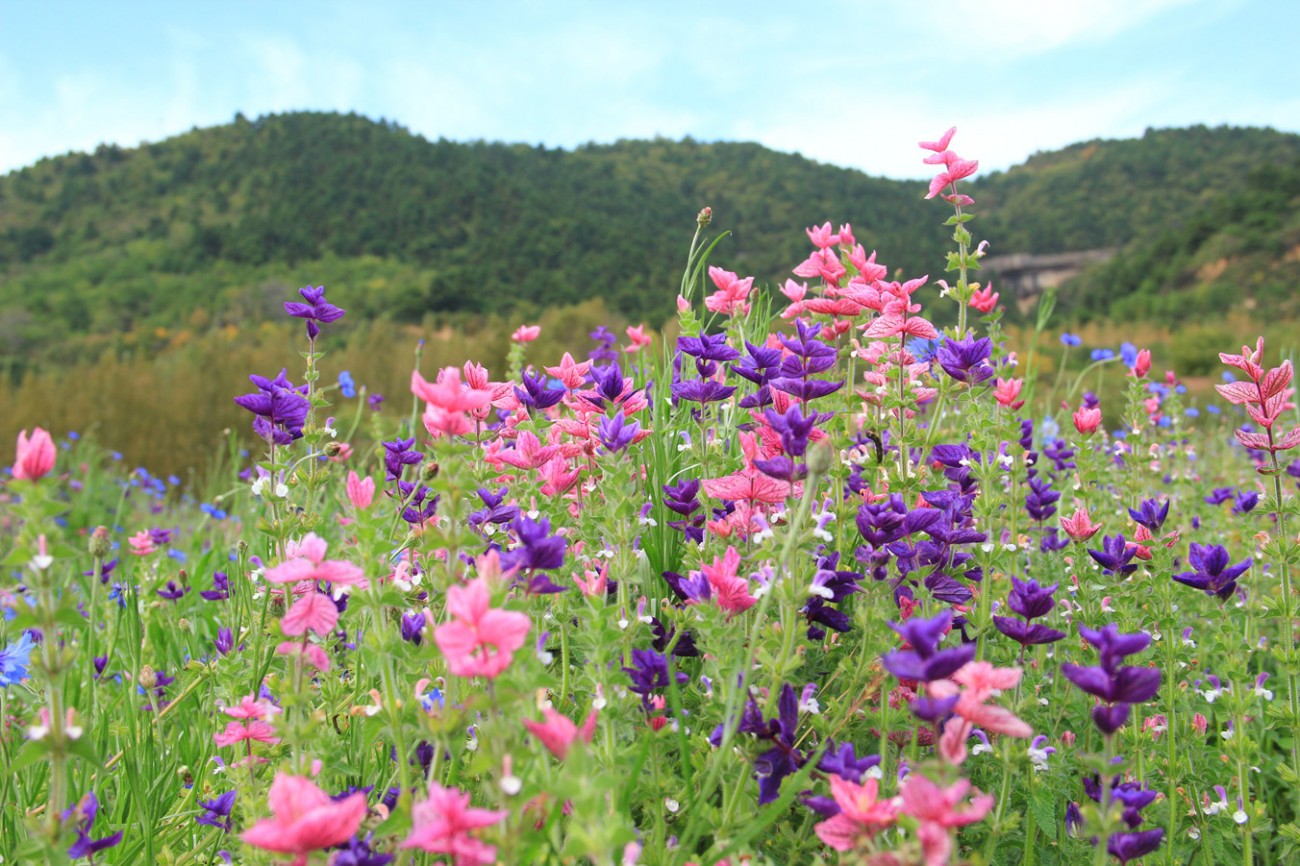 IMG_7778_副本.jpg