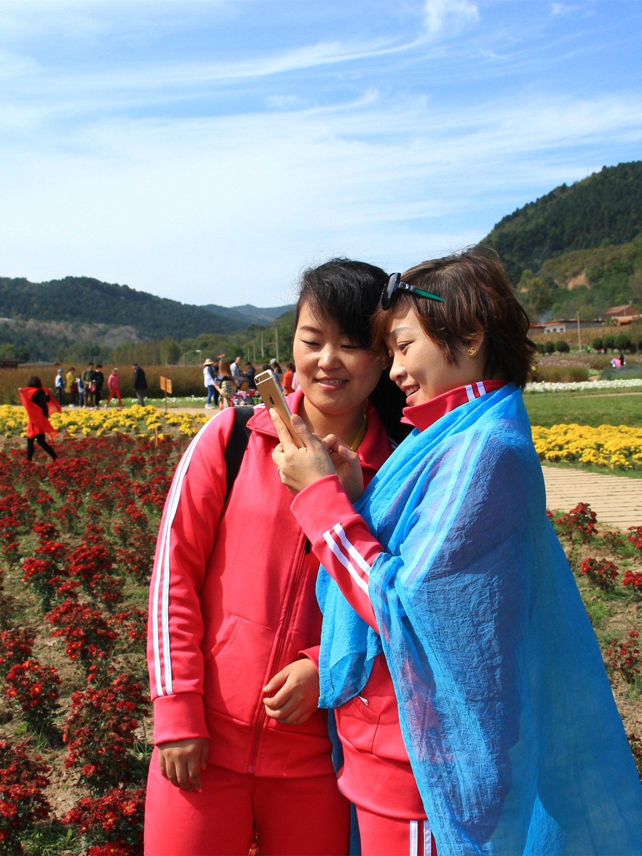 IMG_7684_副本.jpg