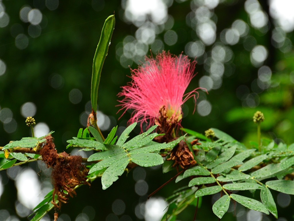 DSC_4302_副本.jpg