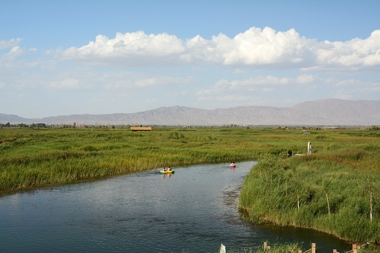AAD_3974.jpg
