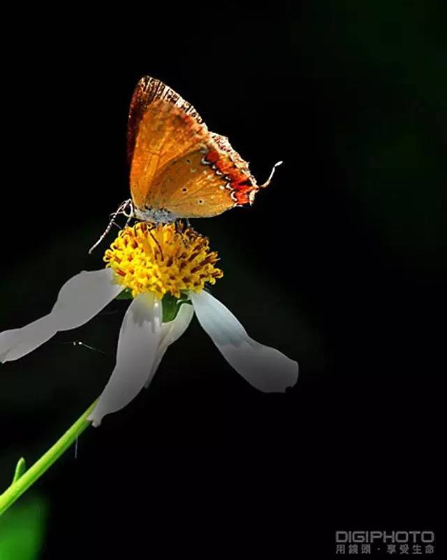 549adaf8d9aa6d73cbe05f18696a612c.jpg 549adaf8d9aa6d73cbe05f18696a612c.jpg