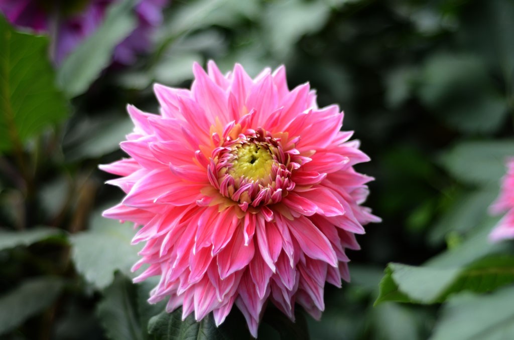 DSC_1714副本.jpg
