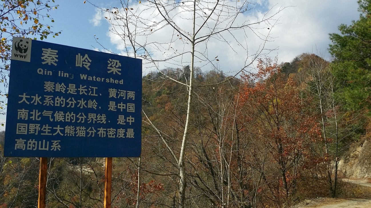 20151019_144354-01.jpeg