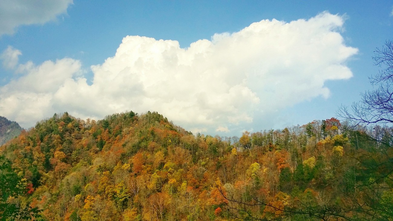 20151019_144810-01.jpeg