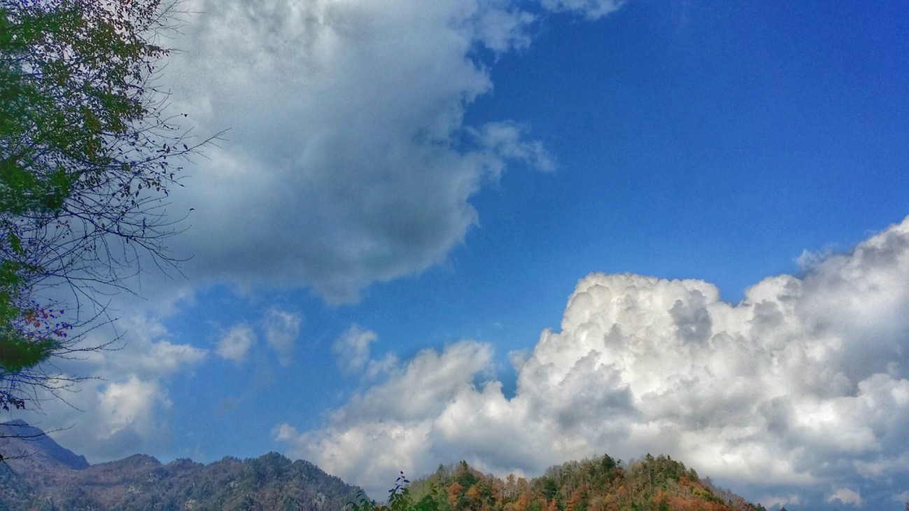 20151019_144827-01.jpeg