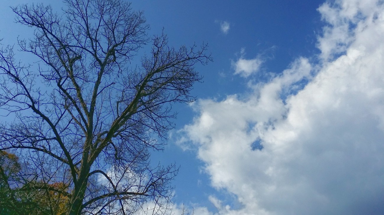 20151019_144948-01.jpeg