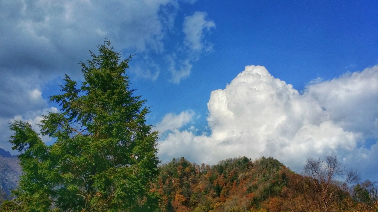 20151019_145028-01.jpeg