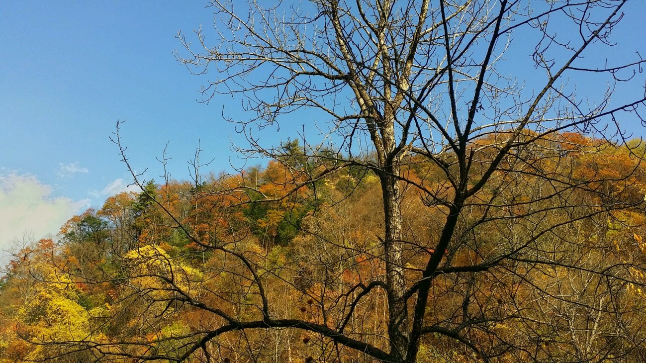 20151019_144607-01.jpeg