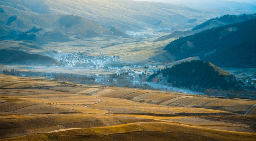_MG_3603.jpg