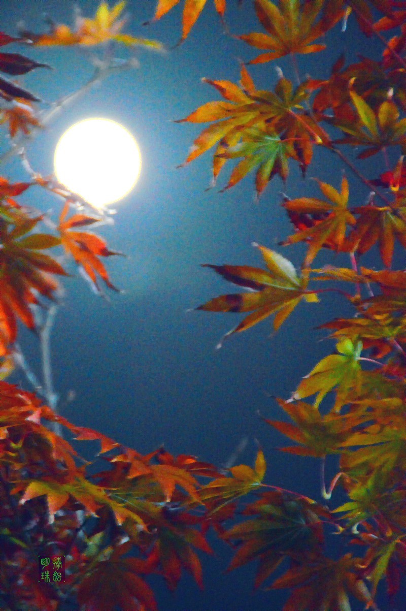 DSC_1034_副本.JPG